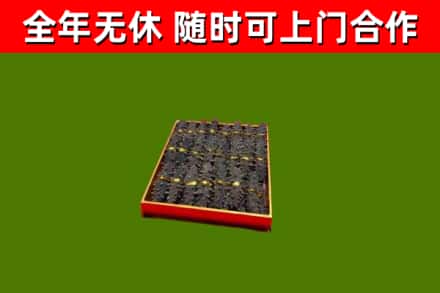 南城县回收海参